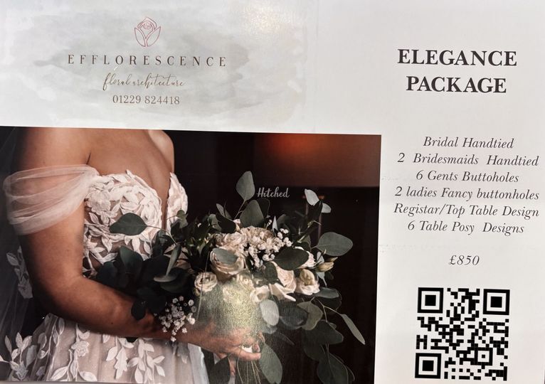 Efflorescence ltd