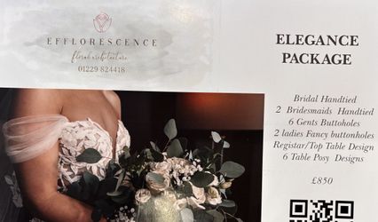 Efflorescence ltd
