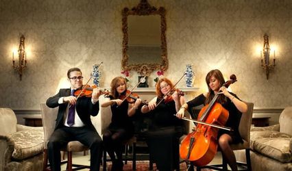 Vitula String Quartet