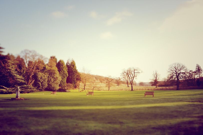 Pipers Pictures Photography