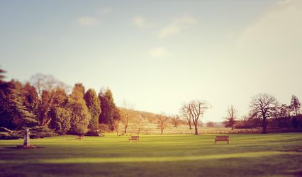 Pipers Pictures Photography