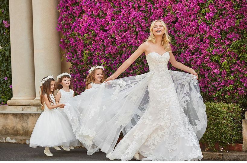 Elderberry Brides