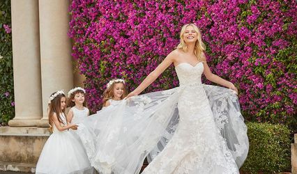 Elderberry Brides