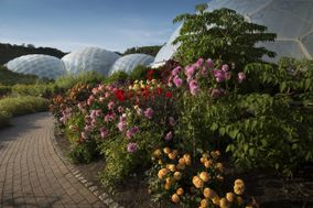 Eden Project