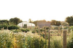 Lower Norton Flower Farm