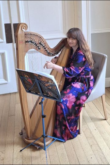 Anna Purver Harpist