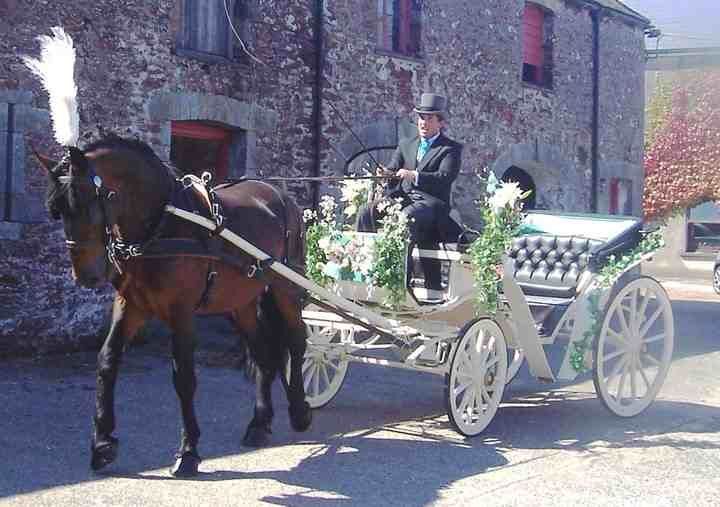 Carriages in the Park