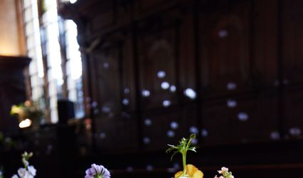 Wild Moments Floral Design