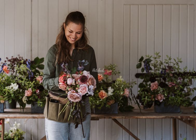 Dorothy Seed Ltd
