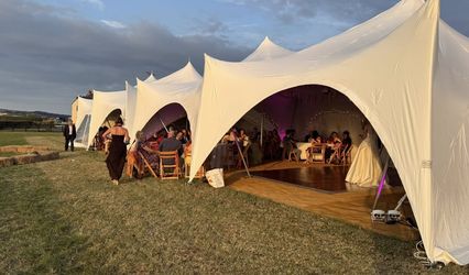 Plan Bee Events