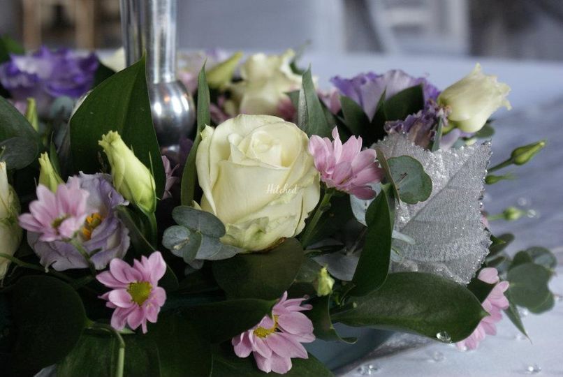 Crystal Blush Events