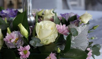 Crystal Blush Events