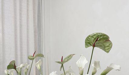 Burton's Blooms