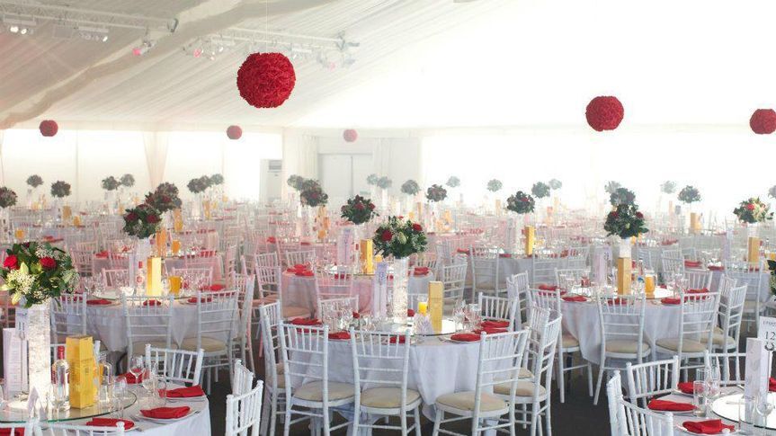 Dazzle Me Decor