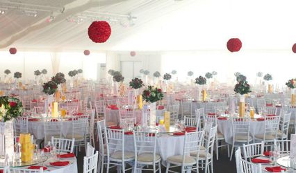 Dazzle Me Decor