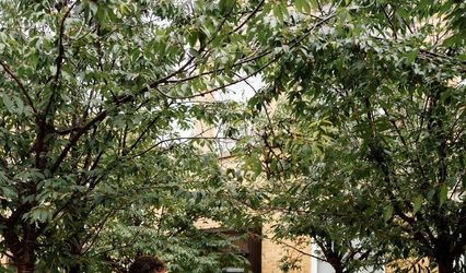 Lambeth Town Hall Ceremonies