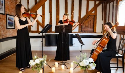 The London String Trio & Quartet