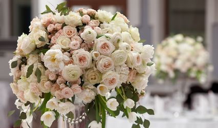 Flowers & Plants Co.