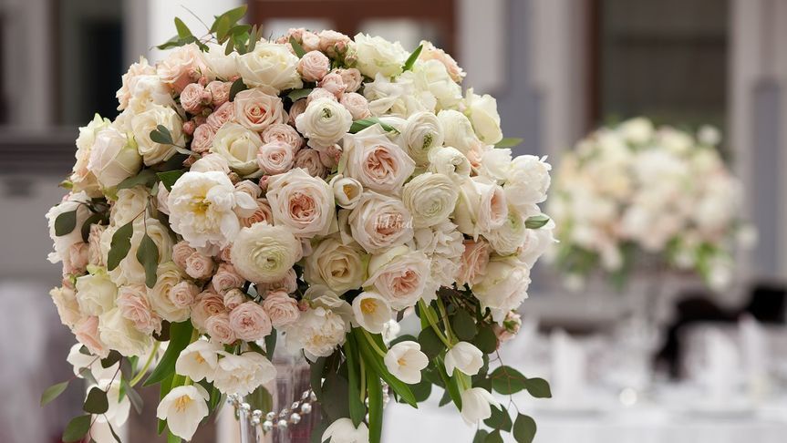 Flowers & Plants Co.