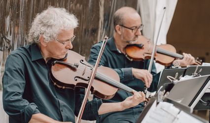 The Craxton String Quartet