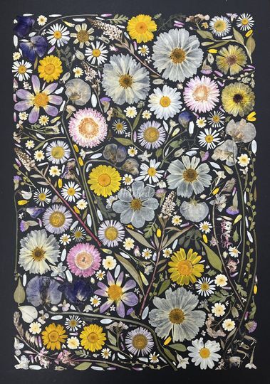 Ione Pressed Flower Artist