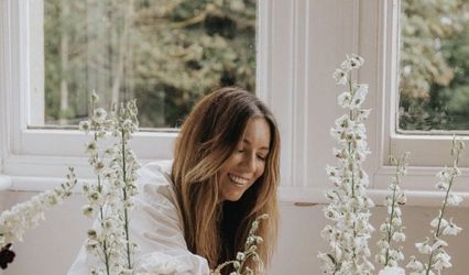 Winter And The Willows