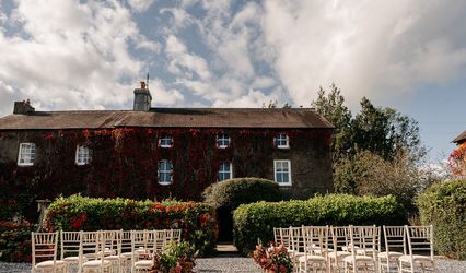 The Fig Tree, Dryslwyn