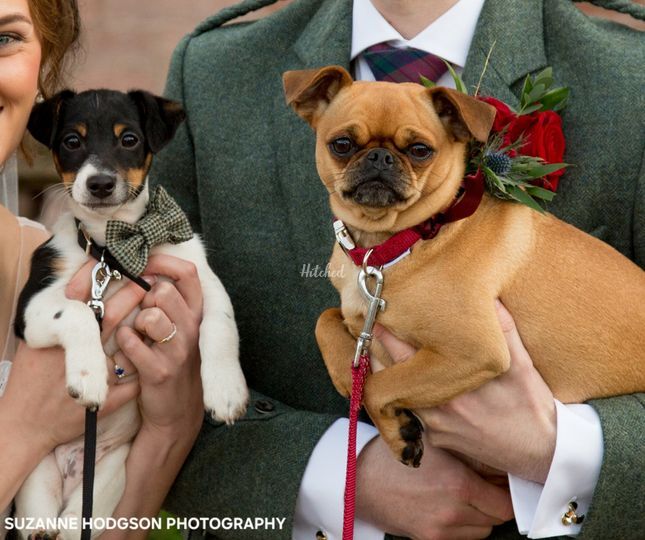 White Paw Weddings