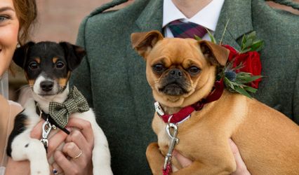 White Paw Weddings