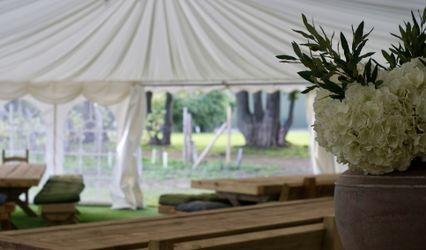 Sealwood Estate & Vineyard