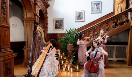 Geneviève harp and strings