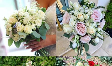 Amore Flowers