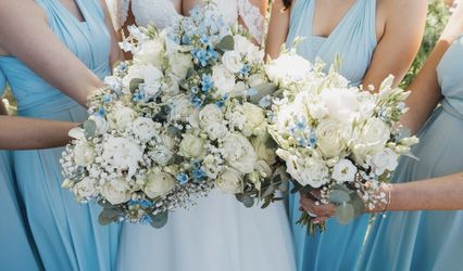 Saffrons florals