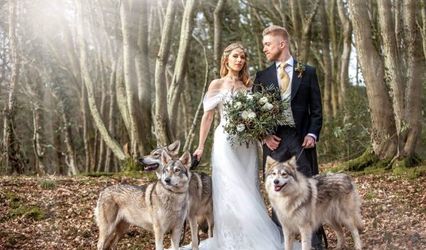 watermill wolves - wedding wolves