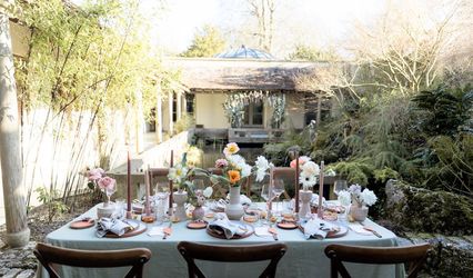 DANDELION CELEBRATIONS