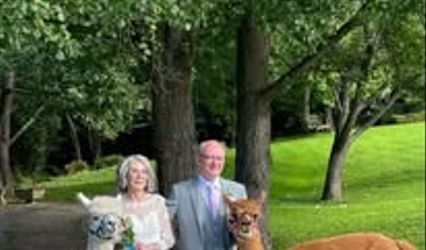 Knightley Alpaca Trekking