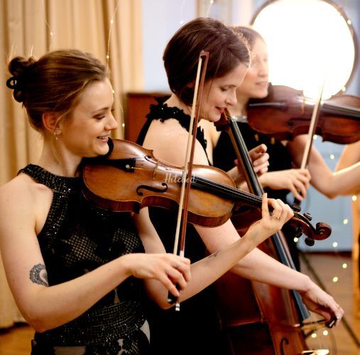 The Fern String Quartet