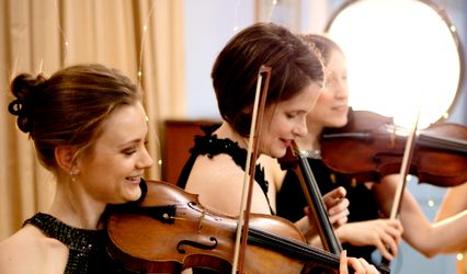 The Fern String Quartet
