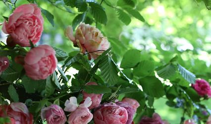 ArtiBelle Florists