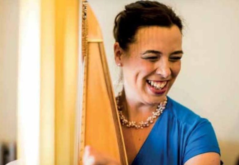 Harp in Wales