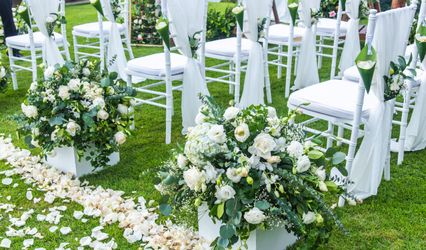 Designed by Carley LTD