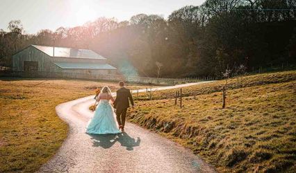 Stephen Rowell​ Photography