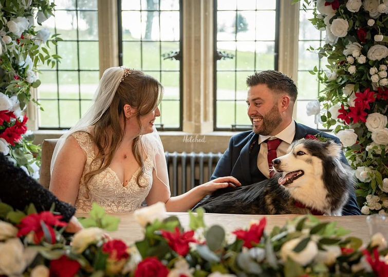 Healthy Paws - Dog Wedding Chaperone Service