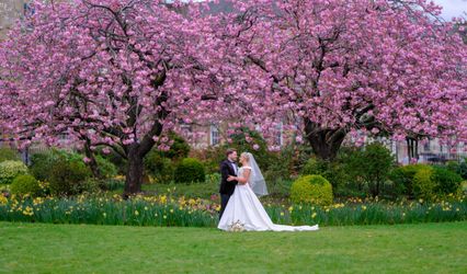 Spotlight photography