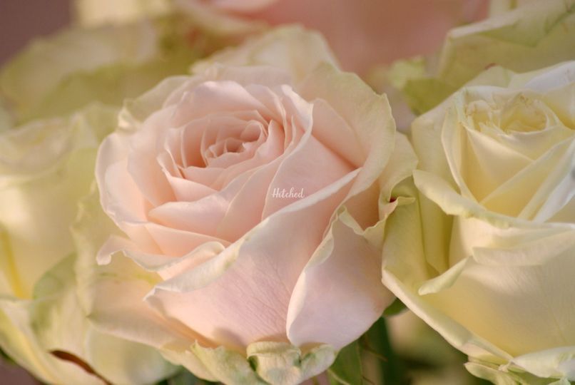 Inner Beauty
