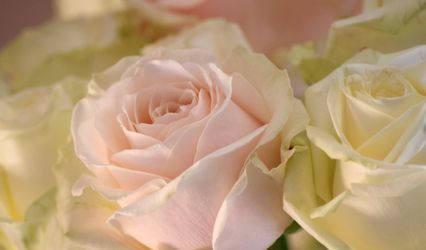 Inner Beauty