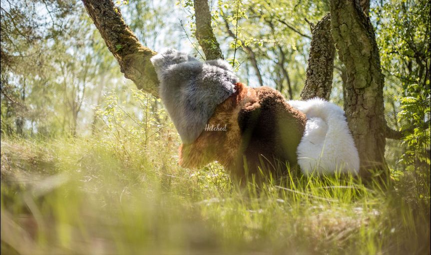 Simply Sheepskin