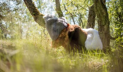 Simply Sheepskin