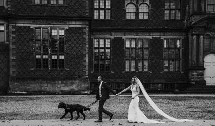 Paws and Veil Co - Dog Wedding Chaperone