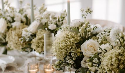 Studiohaych